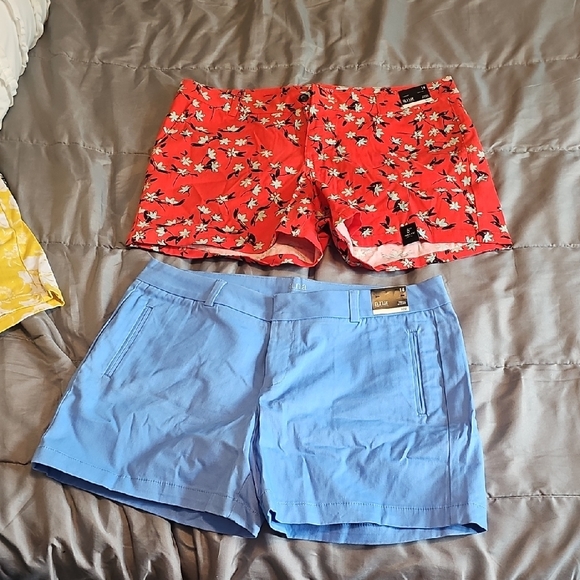 a.n.a Blue and Pink Twill Shorts - Picture 3 of 6